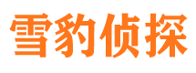 峰峰资产调查